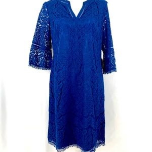 Adrianna Papell Stitch Fix Shift Dress Lace Sz 10